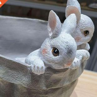 Resin Cute Succulent Pots Containers Vase Bonsai Pot Home Of