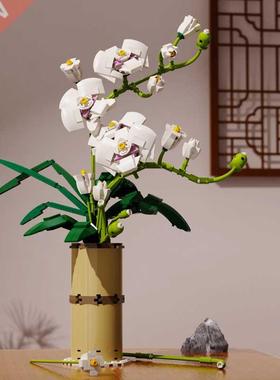 Boxed Phalaenopsis bouque Potted Red Plum Blossom Flowers Bu