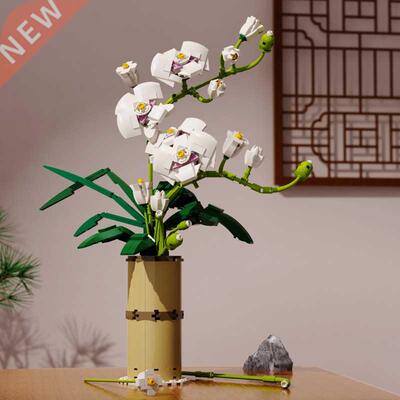 Boxed Phalaenopsis bouque Potted Red Plum Blossom Flowers Bu