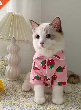 Spring Cat Costume Cute Cozy Pet Clothes for Cats Katten Ked