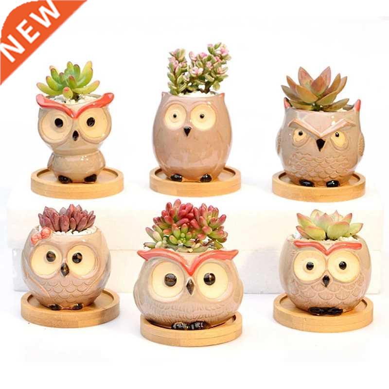 Nordic Garden Supplies Decoration Creative Succulent Owl Flo