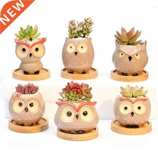 Decoration Supplies Creative Succulent Flo Nordic Owl Garden