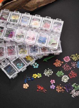 Pressed Dried Flower Dry Plants For Epoxy UV Resin Pendant N