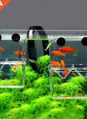 Acrylic Fish Tank Breeding Isation Box Aquarium Hatchery I