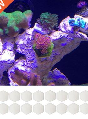 Ceramic Coral Frag Disks Coral Frag Plugs Hexagon Coralline