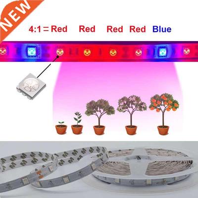 Phyto LED Plant Growth Light Full Spectrum Hydroponic LED St