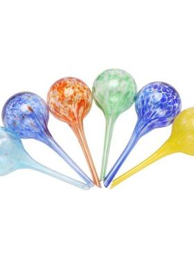 6Pcs Glass Watering Globes, Automatic Drippers Waterers Drip