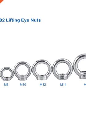 1pc M6-M16 DIN582 Stainless Steel SS304 Lifting Six Differen