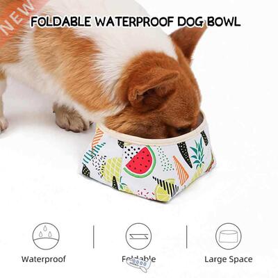 Collapsible Dog Pet Folding Bowl Outdoor Travel Portable Foo