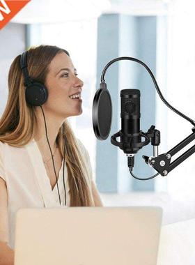 192KHz/24Bit Double Layer Filter Condenser Microphone Kit Sc