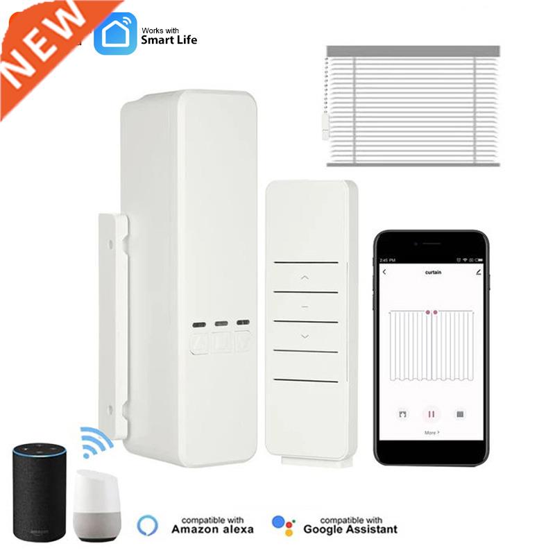 Tuya WiFi Smart Motorized Chain Roller linds Pull ead Curt