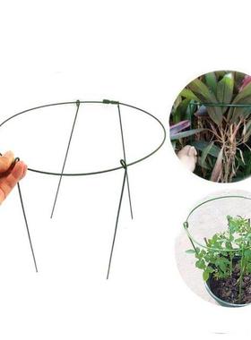 Metal Garden Support Stake Ring Peony Herbaceous Plant Flowe