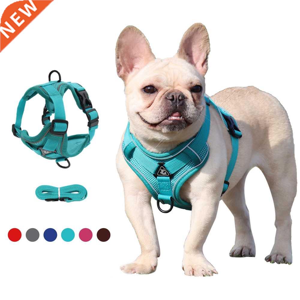 Dog Harness with 1.5m Traction Leash Set No Pull Dog Vest St