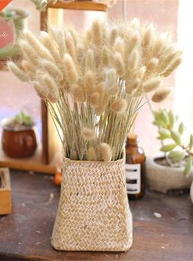 Natural Dried Flowers Rabbit Tail Grass Eucalyptus Bunch Col