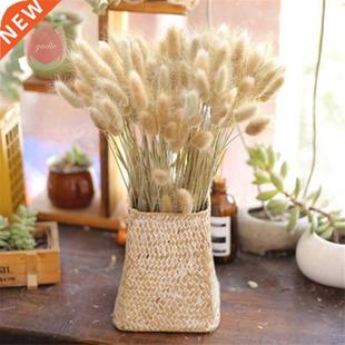 Rabbit Tail Grass Natural Bunch Flowers Eucalyptus Col Dried