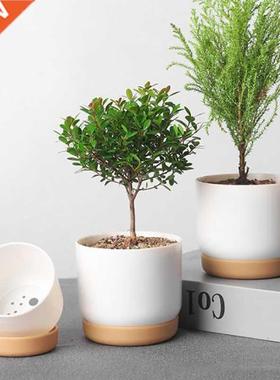 Succulent Plant Pot Double-layer Succulent Green Dill Small