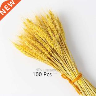 Wheat Ear Flowers lot Wedd Dried Real Natural Pcs Flower