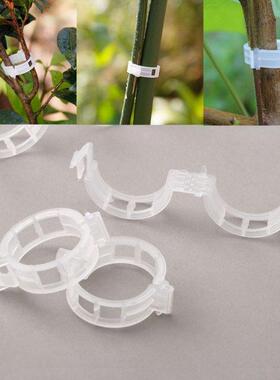 100pcs/lot Garden Grafting Support Clips Nursery Trays Lids