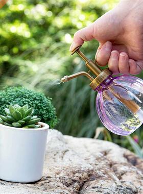 50ml Plastic Spray Bottle Watering Pot Flower Antique Glass