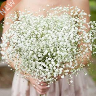 Babys Breath Artificial Gypsophila White Flowers Plas 5Pcs