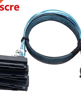 Mini SAS SFF-8643 to 4X29Pin SFF-8482 Hard Disk Server Cable