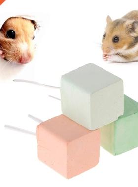 Hamer Teeth Grinding one Mineral Calcium Rabbit Rat Squi