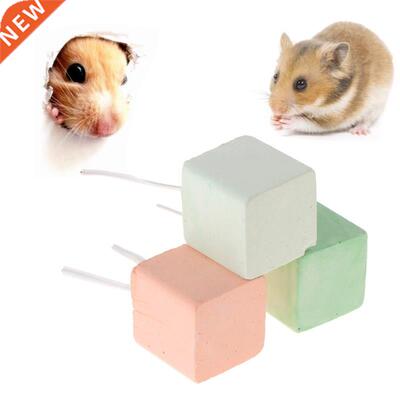 Hamer Teeth Grinding one Mineral Calcium Rabbit Rat Squi