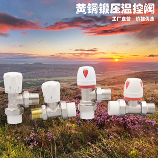 角式 4铜电镀 直式 暖气片阀门中型加厚DN20 6分 全铜PPR温控阀