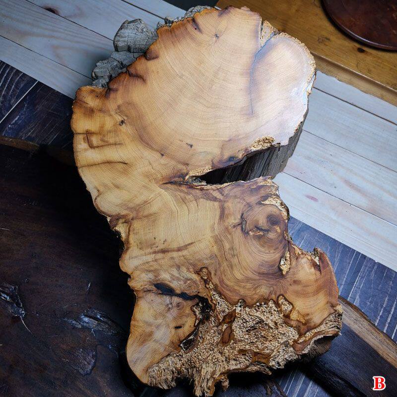 千年太行崖柏黑油骨料特香型水泥皮实木杯垫壶垫花架摆件奇石底座
