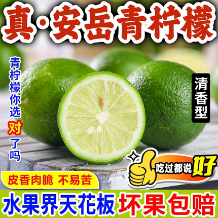 2025四川安岳有籽香水青柠檬新鲜现摘现发多汁当季水果奶茶店专用