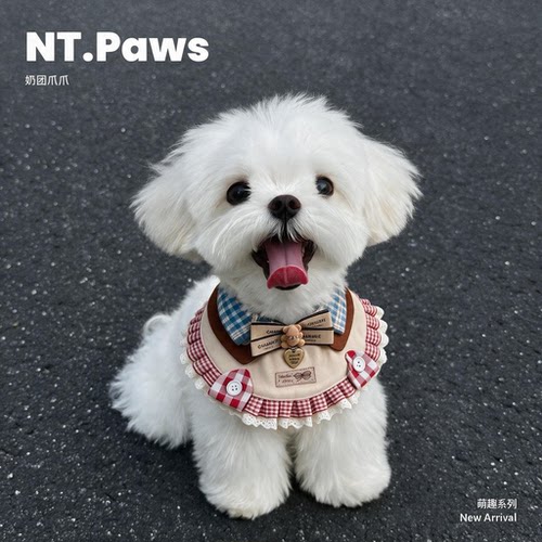 Naituan复古咖色小熊围领猫狗