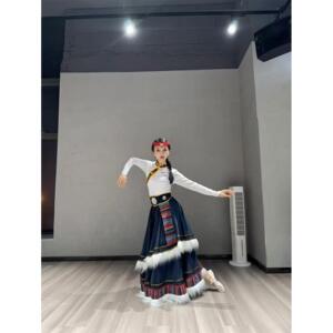 特价新款藏族舞蹈演出服装女成人广场舞表演套装民族风长裙双层大