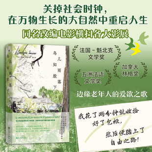 鸟儿如雨般落下 [加]乔斯琳·索西尔 九州出版社 外国文学小说 电影原著 女性主义 后浪 安徽新书