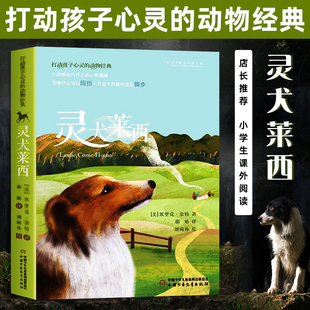 灵犬莱西中国少年儿童出版社打动孩子心灵的动物小说故事书外国文学读物常熟考级书目小学生三年级下册寒假阅读课外书 正版书籍