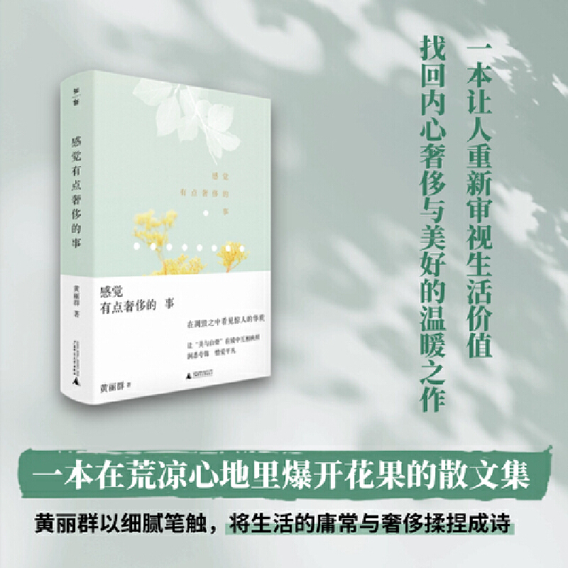 感觉有点奢侈的事9787559