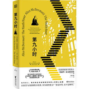 第九小时 爱丽丝麦克德莫特长篇小说 爱是补药 而不是解药 生为女人 我们的生活会因贫穷和男人而雪上加霜 浙江文艺出版社