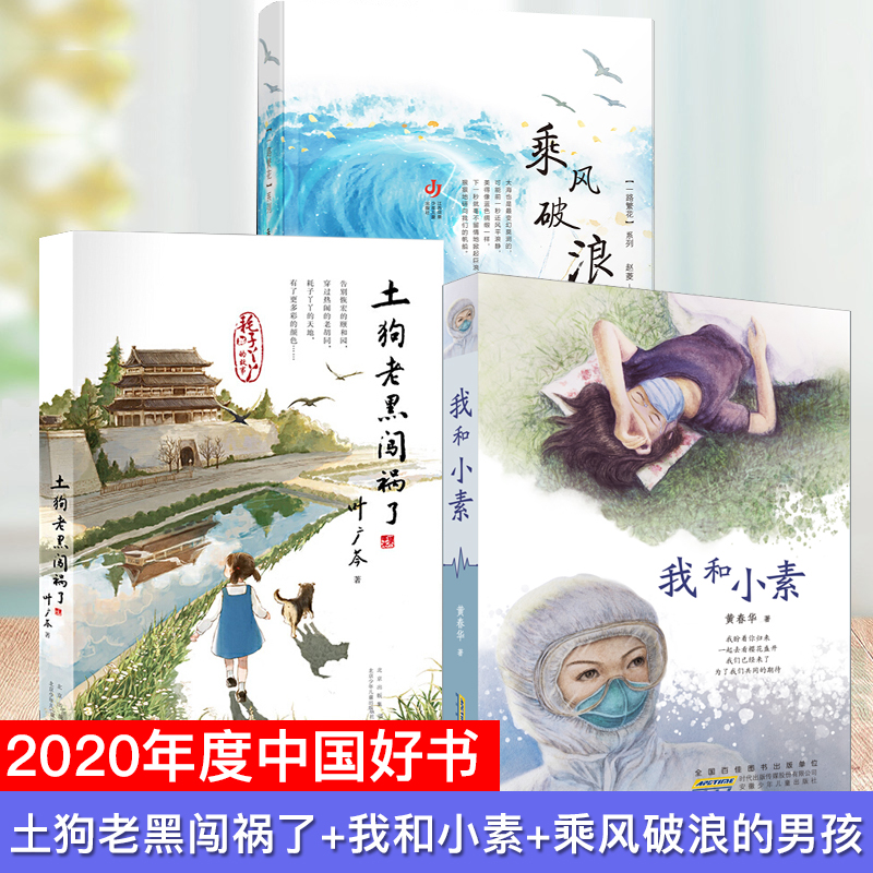 年度中国好书乘风破浪男孩小素