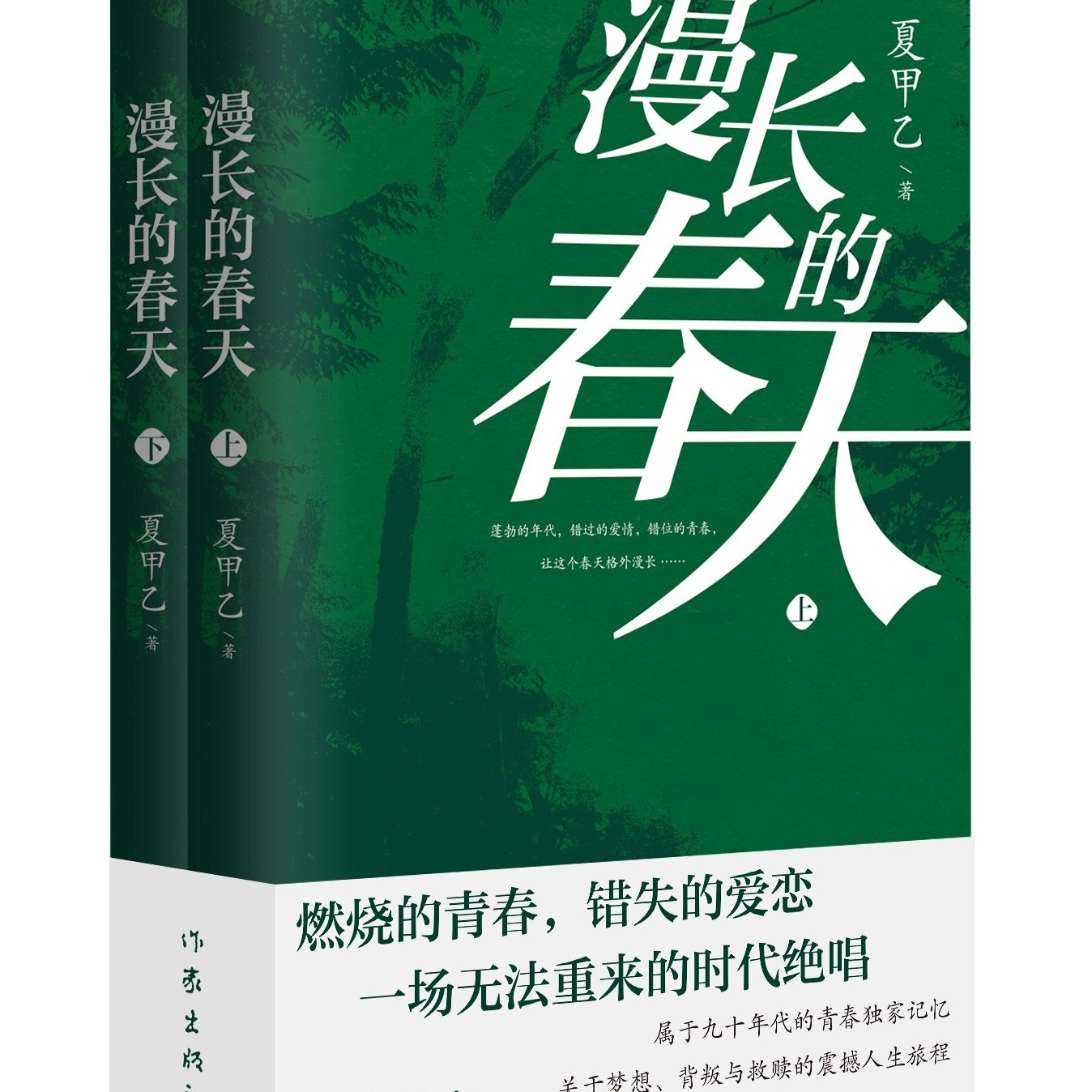 漫长的春天 青春与时代的交响曲——见证90年代年轻人的成长与抉择 一场关于梦想、背叛与救赎的震撼旅程；还原真实动人的生活画卷