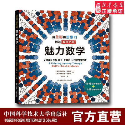 官网正版 魅力数学 用色彩和想象力创造数学之美 有趣的数学书 激发创造性思维 中科大出版社官方正版