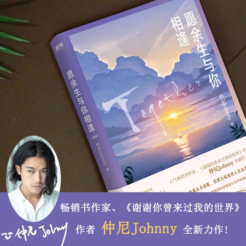 仲尼新书 继谢谢你曾来过我的世界后 人气畅销书作家johnny力作 青春