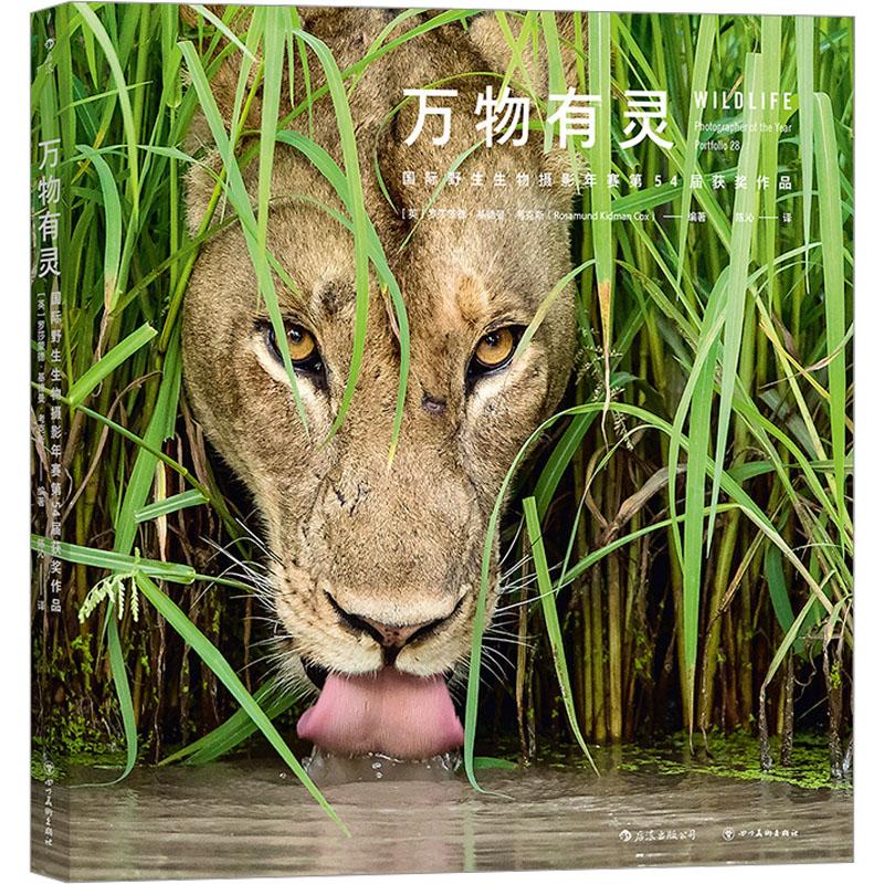 现货正版 万物有灵：国际野生生物摄影年赛第54届获奖作品 罗莎蒙德·基德曼·考克斯著 四川美术出版社