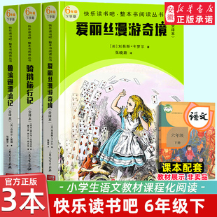 快乐读书吧六年级下册 鲁滨逊漂流记汤姆索亚历险记爱丽丝漫游奇境尼 斯骑鹅旅行记上中下小学生阅读课外书全套人民文学出版社