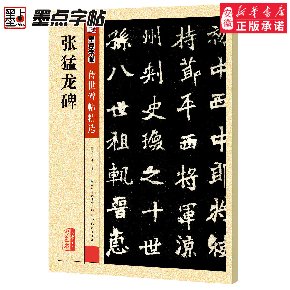 张猛龙碑墨点字帖毛笔楷书法详解成人初学者练字书籍官方正版传世经典碑帖第四辑张猛龙原碑原帖拓本彩色版魏碑临摹放大本毛笔字帖