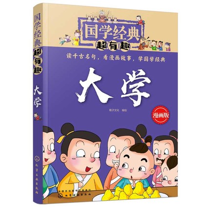 国学经典超有趣 大学  内容丰富 博大精深涉及哲学人生政治社会艺术等