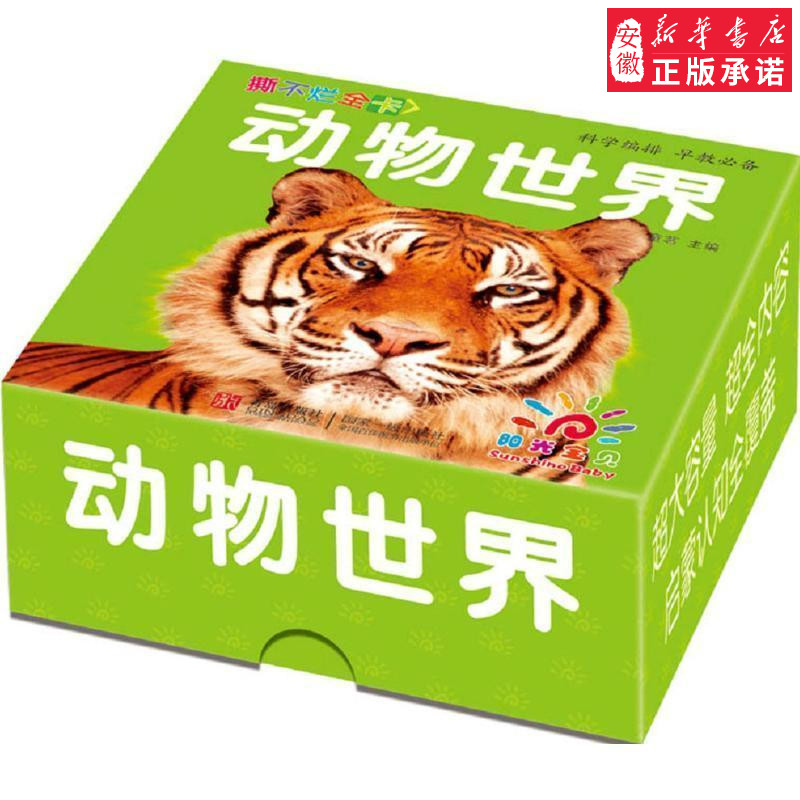 新华书店正版 卡片挂图 文轩网