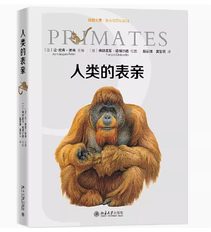 人类的表亲世界灵长指南