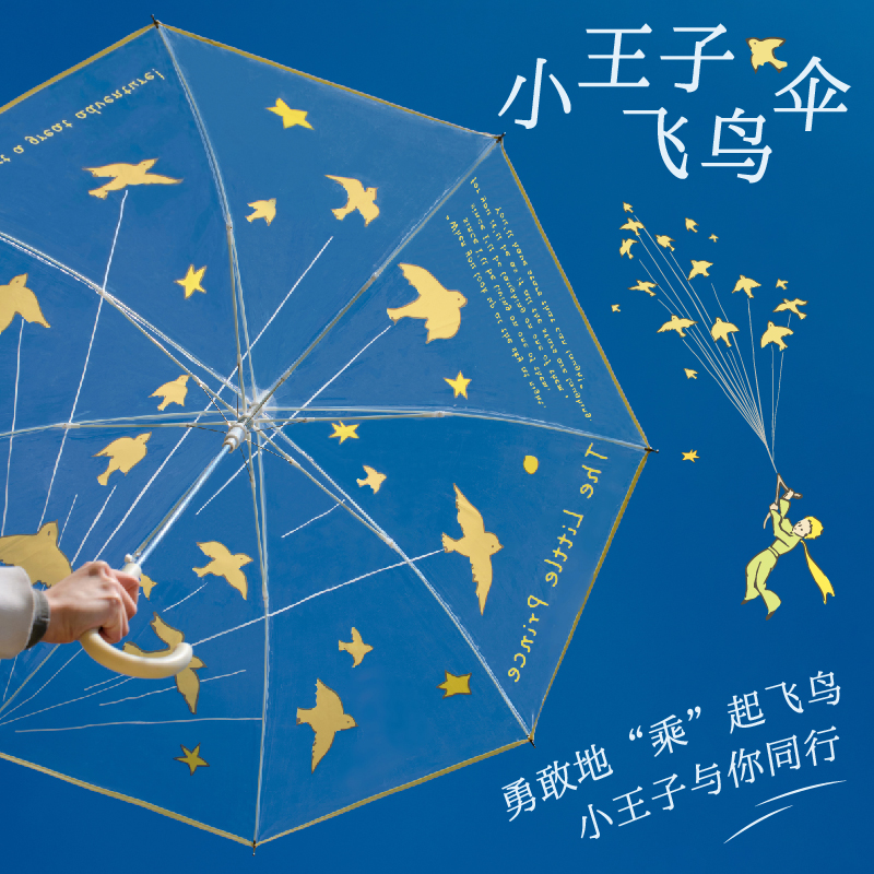 小王子飞鸟伞透明高颜值卡通雨伞
