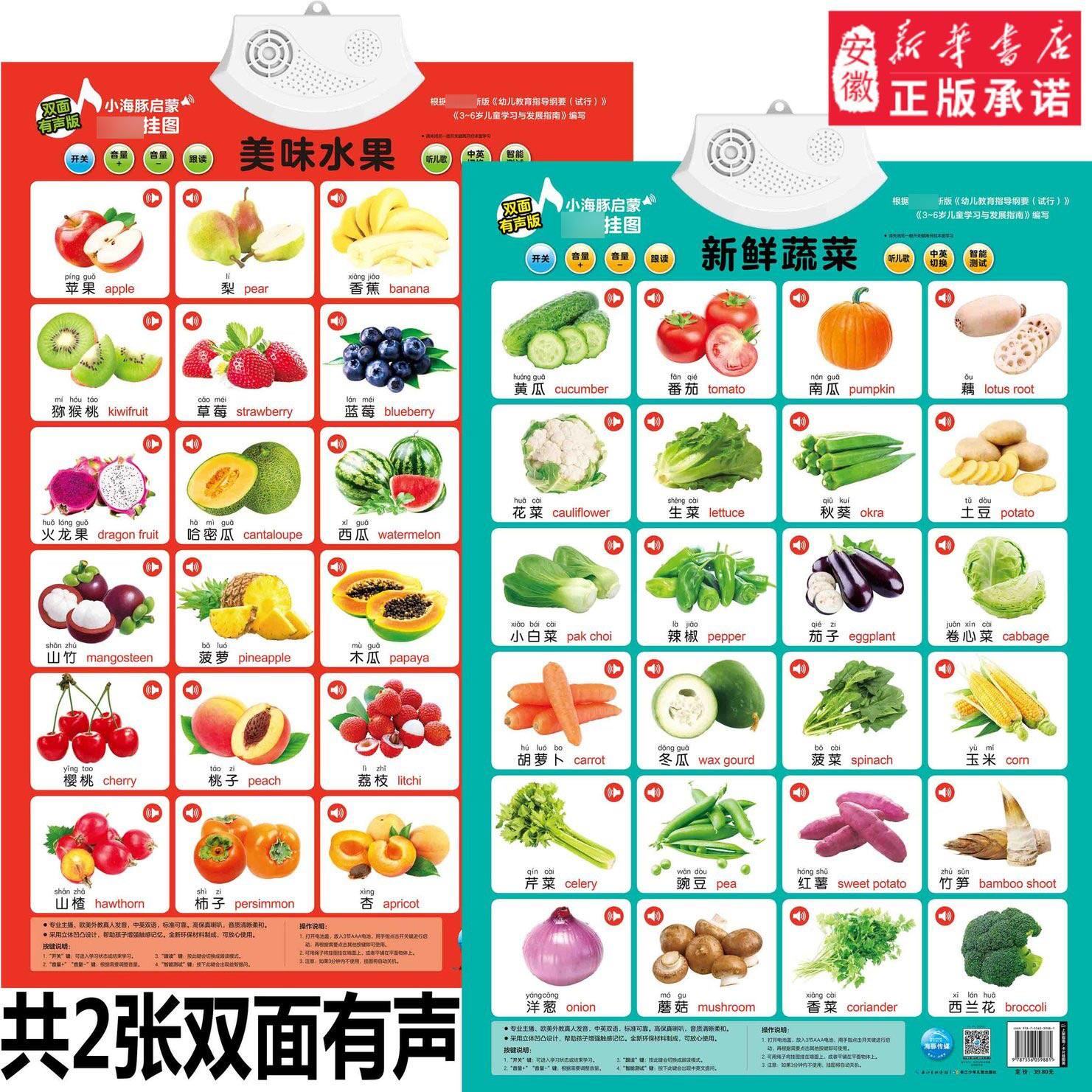 双面凹凸版小海豚启蒙有声挂图  美味水果(背面日常用品) 新鲜蔬菜