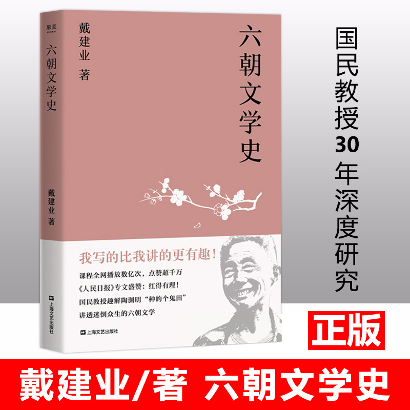 六朝文学史戴建业国民级网红教授通俗讲授迷倒众生的六朝文学理论古代文学史六朝时代文集诗歌艺术鉴赏文史爱好者读物正版书籍-封面