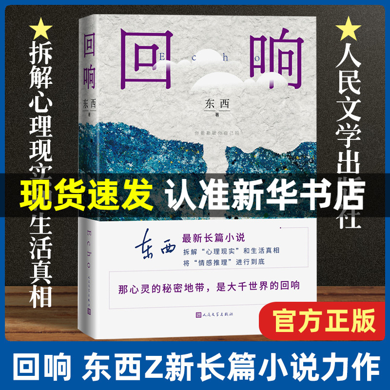 回响东西长篇力作第十一届茅盾文学奖获奖作品拆解心理现实和生活真相情感推理侦破推理小说模式现当代文学畅销书人民文学出版社